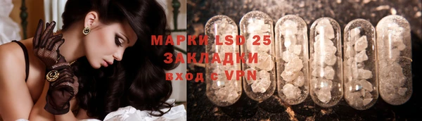 амф Новодвинск