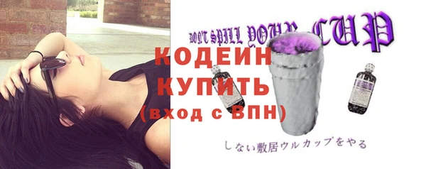 амф Новодвинск