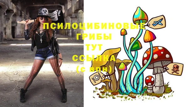 Альфа ПВП Нязепетровск