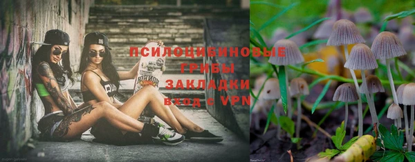 прущая мука Няндома