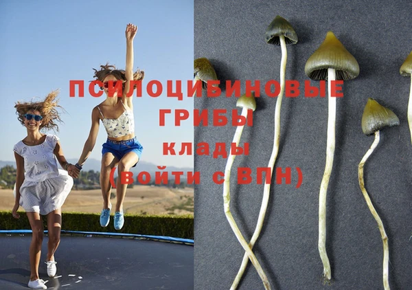 амф Новодвинск